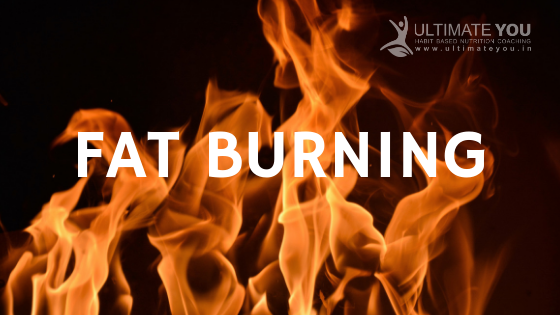 What and How of Fat Burning